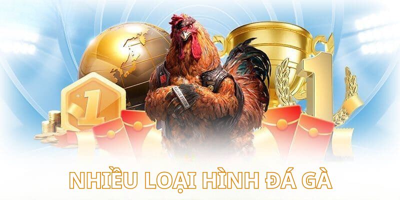 Nhà cái cung cấp vô vàn loại hình thi đấu đặc sắc khác nhau