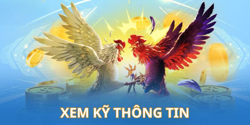 Hội viên tham gia cần theo dõi thông tin chiến kê được cung cấp